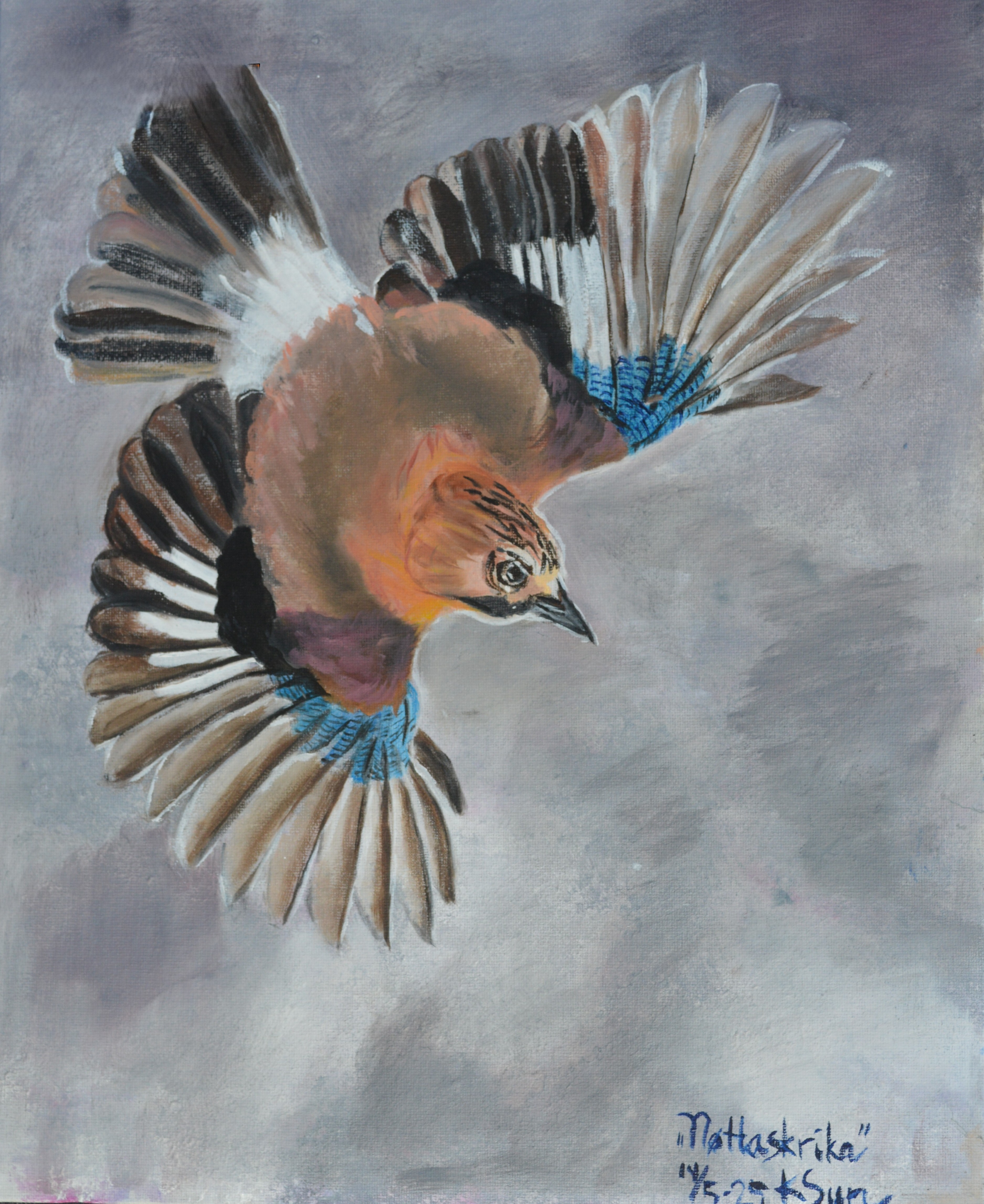 Nøtteskrike i flukt